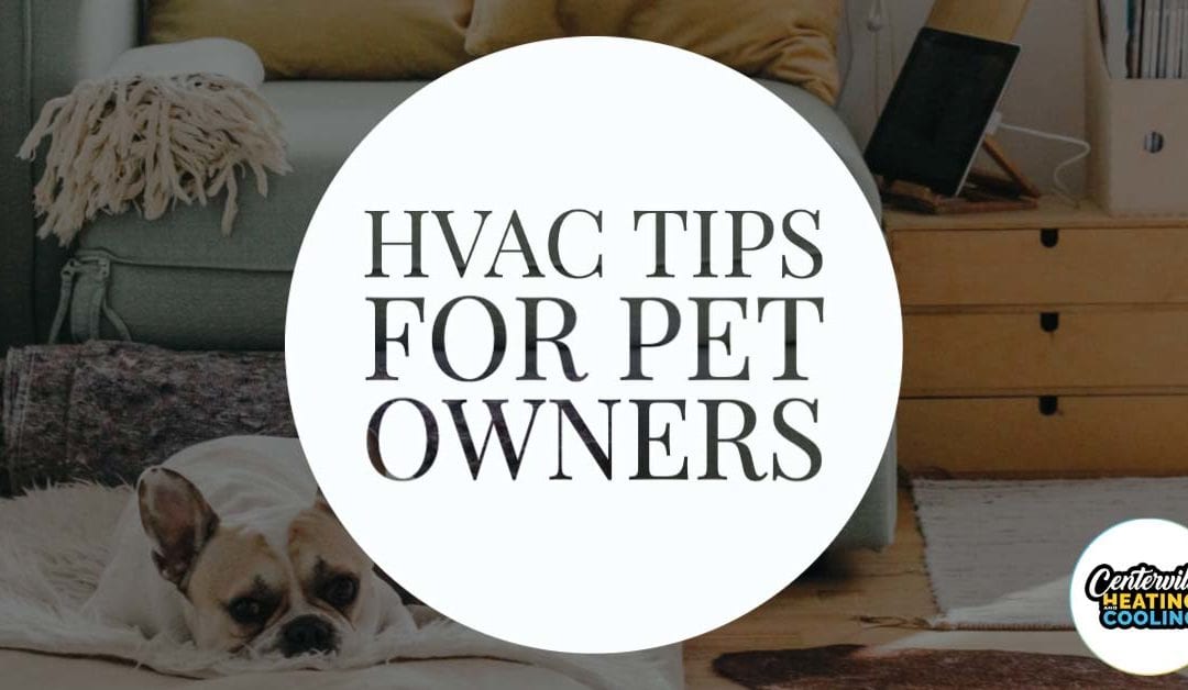 HVAC  Maintenance For Pet Owners