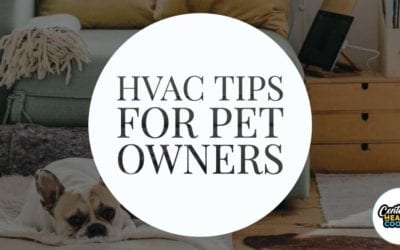 HVAC  Maintenance For Pet Owners