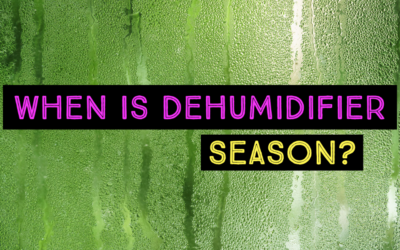 WHEN IS DEHUMIDIFIER SEASON?  